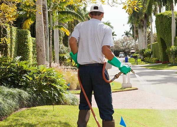 About Berea WV Pest Control